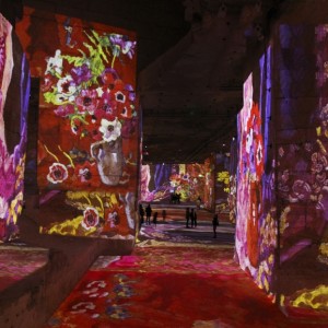 Journée en Provence - Autour des Baux de Provence