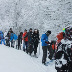 Séminaire Pyrénées - Incentive 