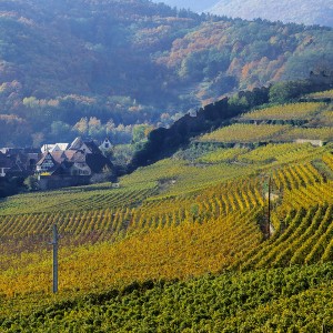 Escapade en Alsace - Strasbourg et Colmar