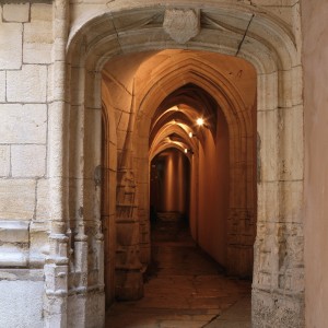 Discovery of the UNESCO sites – From Lyon to Avignon