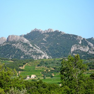 Christmas in Provence : a seasonal tradition