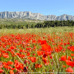 Incentive Aix en Provence - Soirée aux côtés d'un Chef étoilé