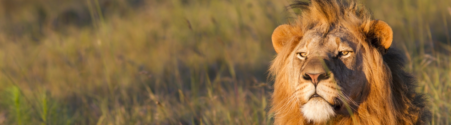Voyage en Afrique du Sud - Diversité ethnique et naturelle