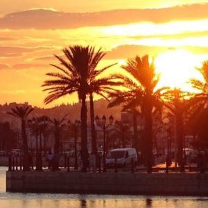 Séminaire en Tunisie : Hammamet