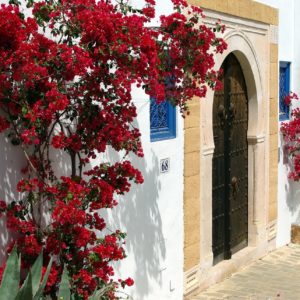 Séminaire en Tunisie : Hammamet