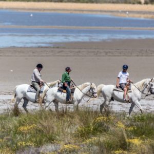 Séminaire au cœur de la Camargue