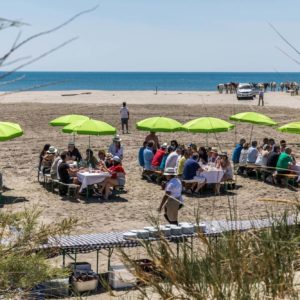 Séminaire au cœur de la Camargue