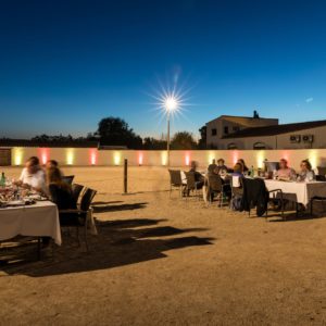 Séminaire au cœur de la Camargue