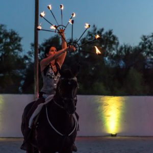 Séminaire au cœur de la Camargue