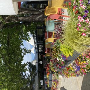 Séminaire dans les Alpes de Haute-Provence
