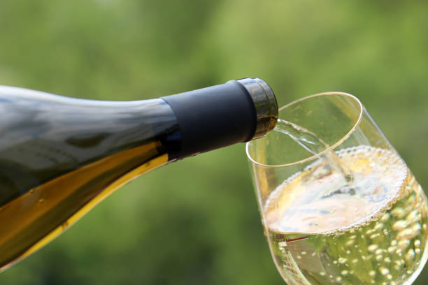 Concept of celebration, party, wine drinking outdoors, champagne tasting at winery