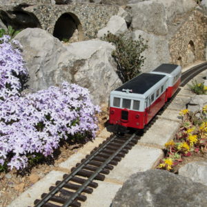 Journée Ardèche et Drôme - Train Ardéchois et Zoo d'Upie