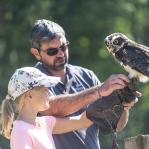 Journée Ardèche et Drôme - Train Ardéchois et Zoo d'Upie
