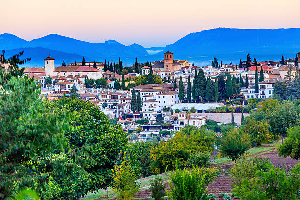 Granada Cityscape Churches Andalusia Spain  from Olive Gardens on Hillside