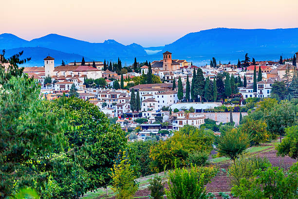 Granada Cityscape Churches Andalusia Spain from Olive Gardens on Hillside