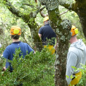 Séminaire vert en Ardèche - Challenge canoë et spéléologie