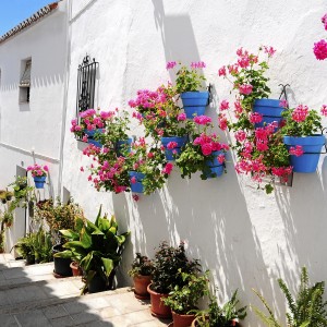 Voyage en Espagne - Au cœur de l'Andalousie