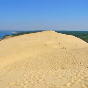 Séjour Bordelais - Bordeaux, le Bassin d'Arcachon