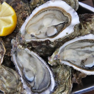 Séjour Bordelais - Bordeaux, le Bassin d'Arcachon