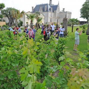 Séjour Bordelais - Bordeaux, le Bassin d'Arcachon