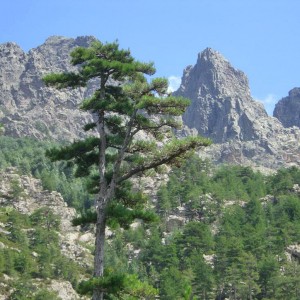 Voyage en Corse - Tour de l'île de beauté