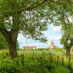 Escapade en Bourgogne - Dijon, Beaune