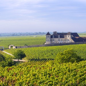 Escapade en Bourgogne - Dijon, Beaune