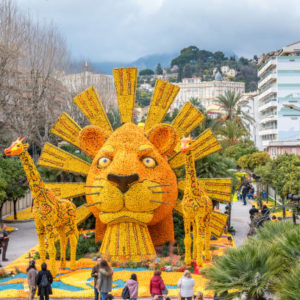 Séjour sur la Côte d'Azur - Carnaval de Nice et Fête du Citron - En février