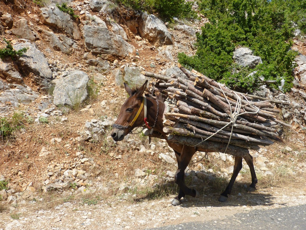 Voyage en Albanie - Carrefour de l'Orient et de l'Occident