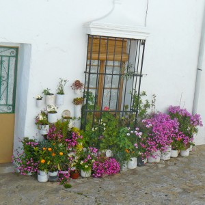 Voyage en Espagne - Au cœur de l'Andalousie