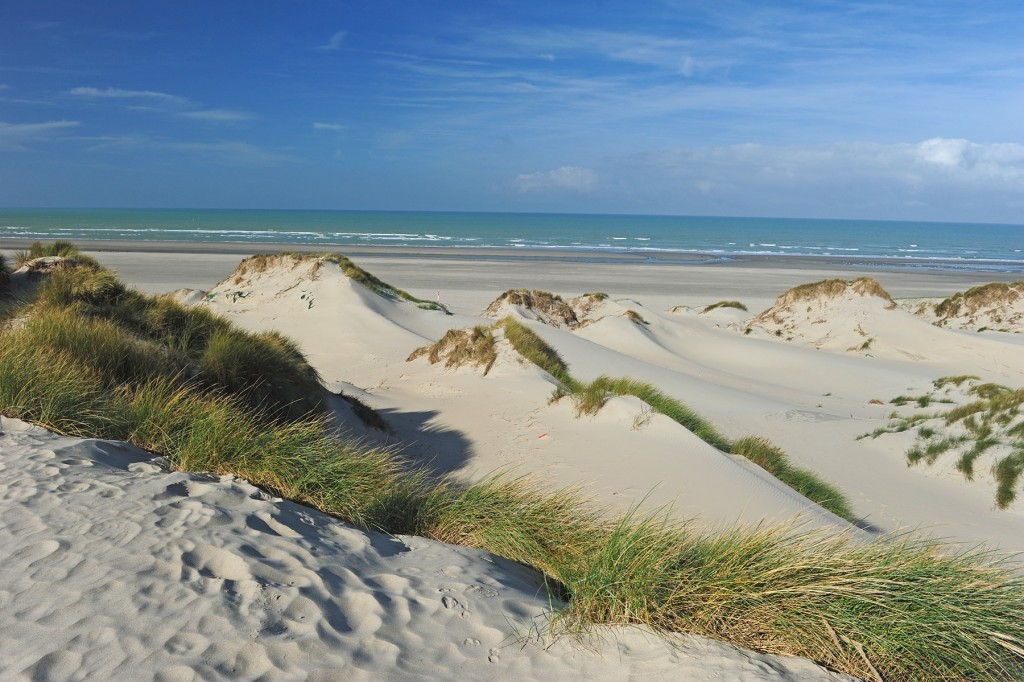 Séminaire Baie de Somme - Char à voile et soirée paillote