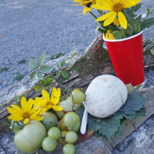Seminar in Ardèche : A walking tour round a “Village de caractère”