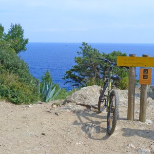 Seminar in Porquerolles Island – Nautical trip and Mountain bike tour