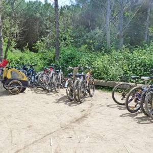 Séminaire Ile de Porquerolles - Rallye nautique et VTT