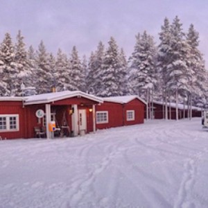 Voyage récompense Laponie - Sur la piste des loups