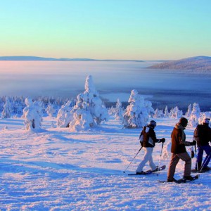 Voyage récompense Laponie - Sur la piste des loups