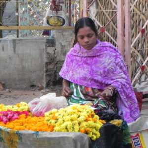 Inde du Nord - Le Rajasthan autrement