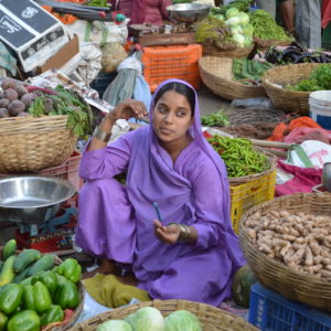 Inde du Nord - Le Rajasthan autrement