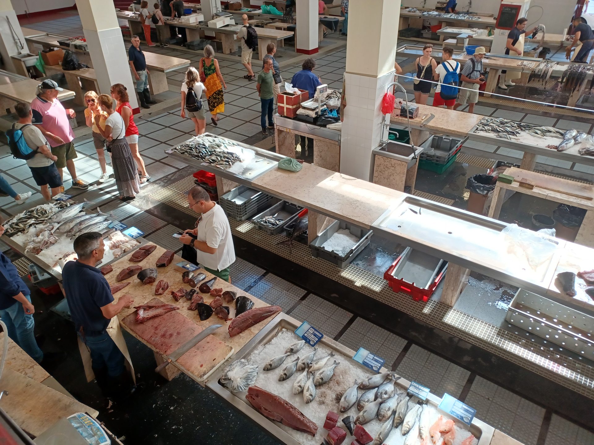 Voyage immersif - marché au poisson - Madère