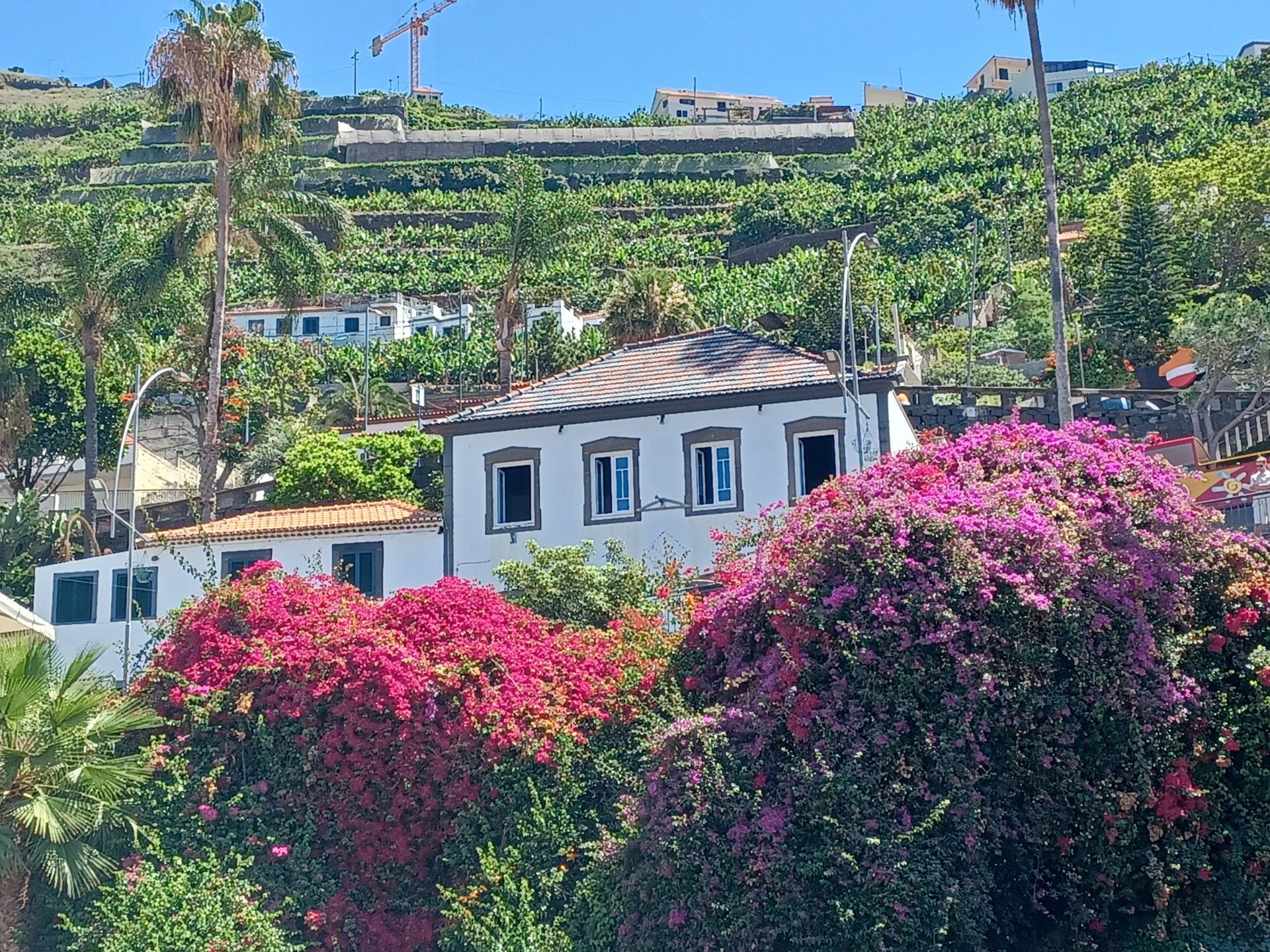 Voyage pour seniors à Madère lîle aux fleurs