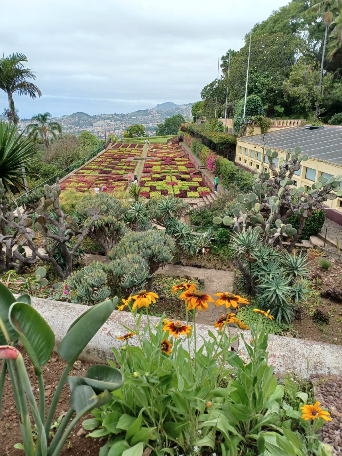 Jardin botanique sur lîle aux fleurs