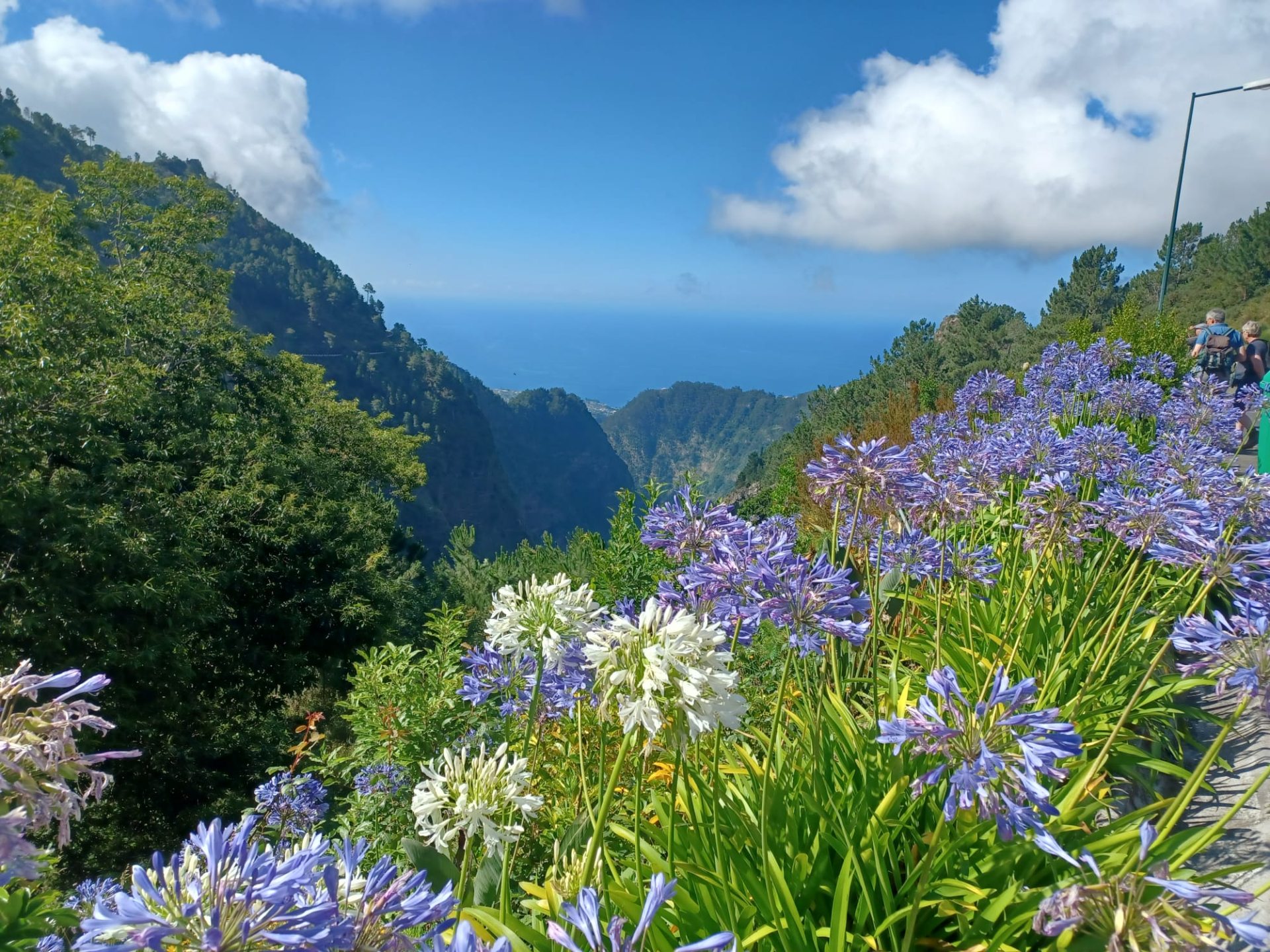 Madère destination nature