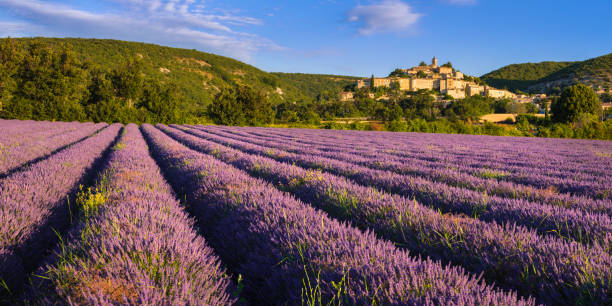 Agence de voyage Sud Ardèche - Provence