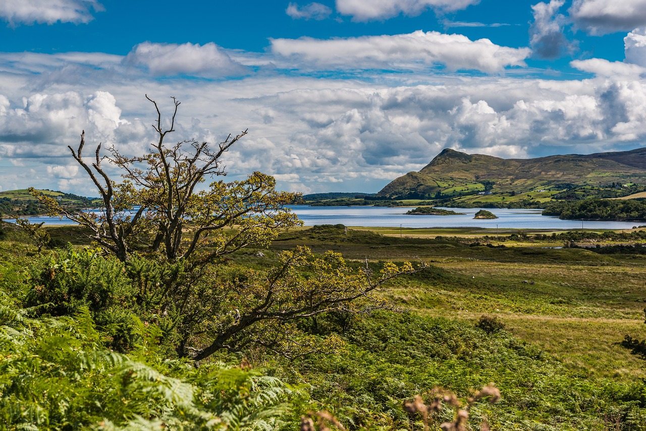 Paysages du Connemara