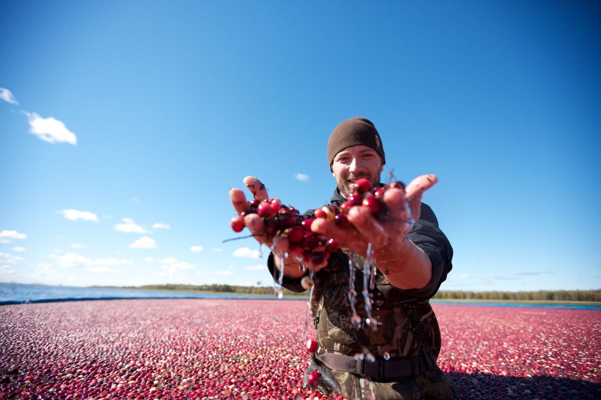 Jour 9 : Québec - Victoriaville