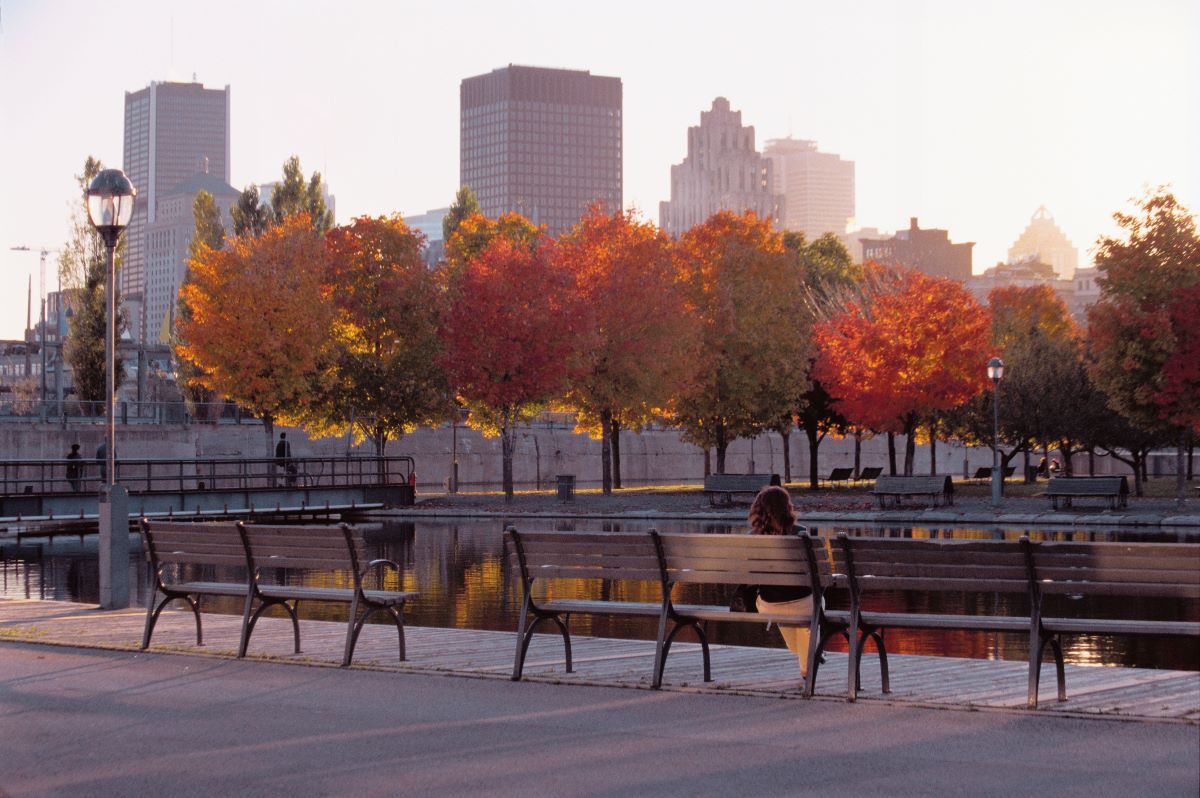 Jour 5 : Montréal et Saint Alexis des Monts