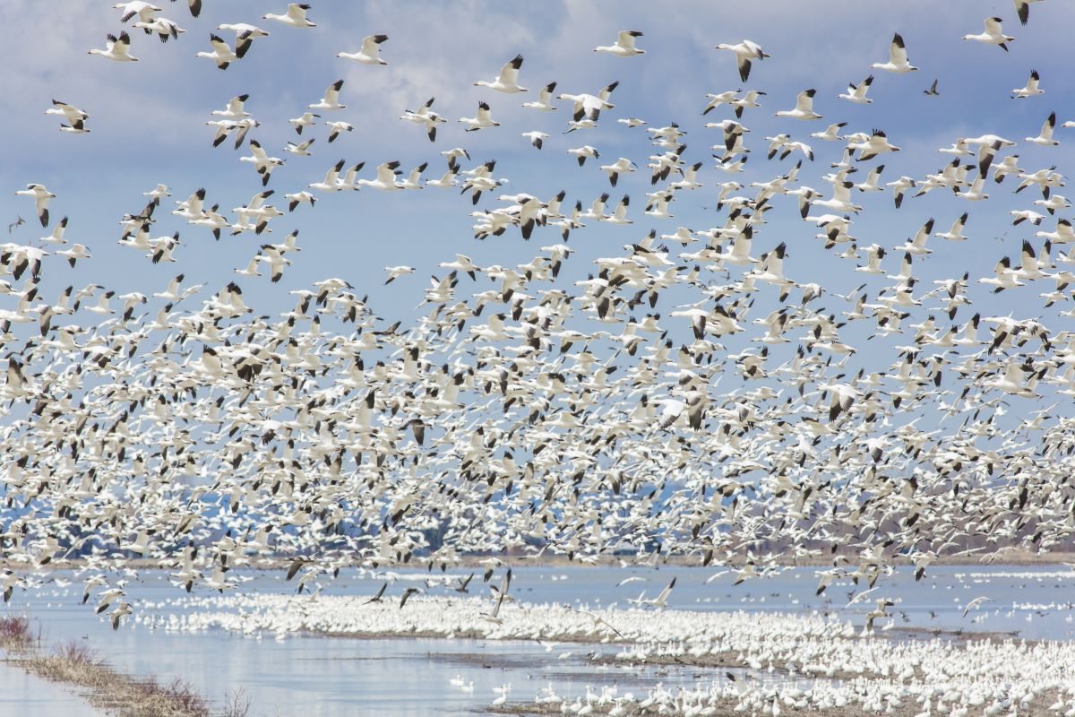 Jour 9 : Québec - Victoriaville