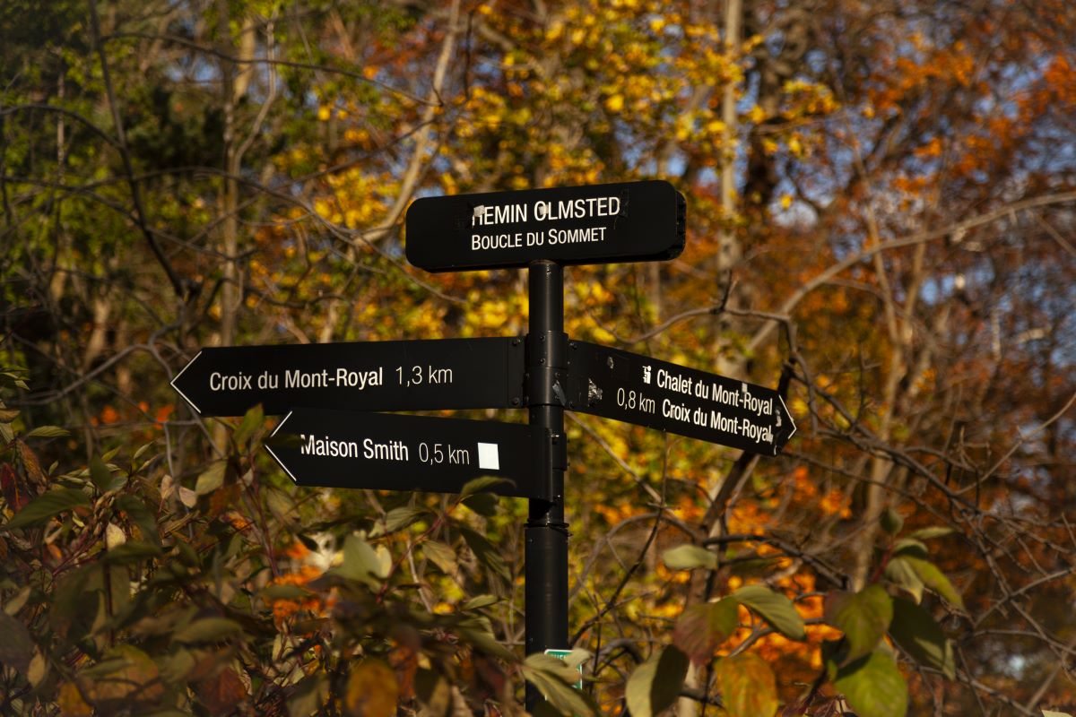 Jour 5 : Montréal et Saint Alexis des Monts