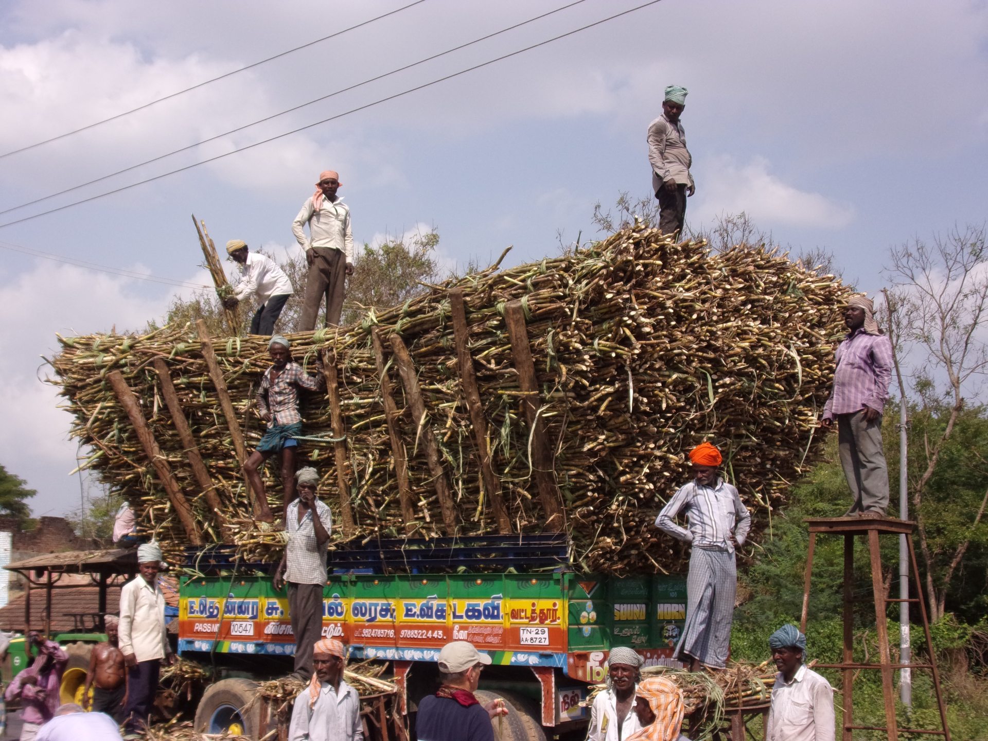 Chargement impressionnant de canne à sucre - Voyage en Inde du Sud