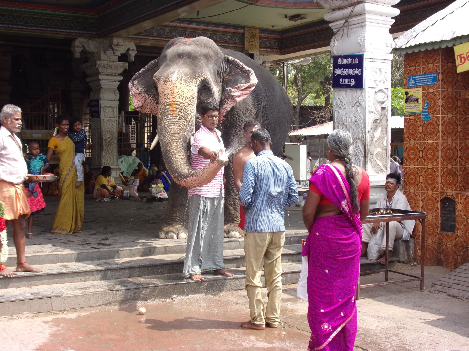 Bénédiction au temple Trichy - Inde du sud